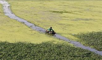 巴德河,自然奇观与人文历史的交融之地