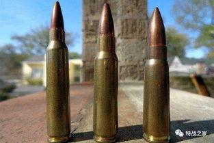 最后一颗子弹,生死边缘的抉择时刻