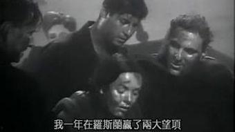 贵妇失踪案,揭开贵妇神秘失踪案的层层迷雾