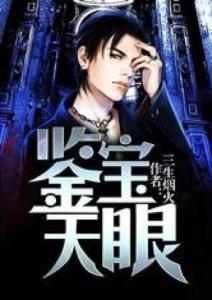 天眼鉴宝小人物的巅峰征途,小人物逆袭，巅峰征途传奇